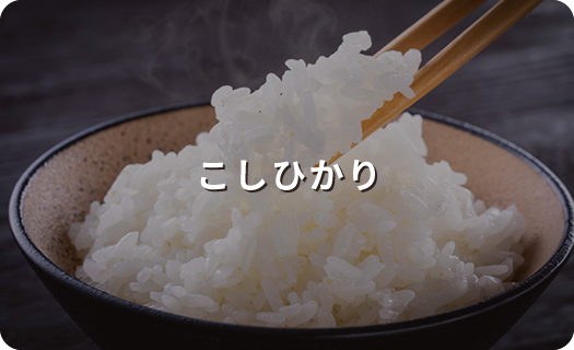 こしひかり
